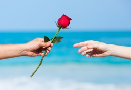 Bunga mawar merah (Foto: Shutterstock)