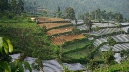 Pertanian desa Suntenjaya (beritabaik.id)