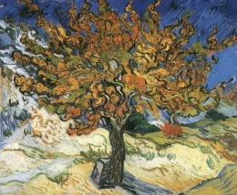ilustr: Van Gogh Gallery