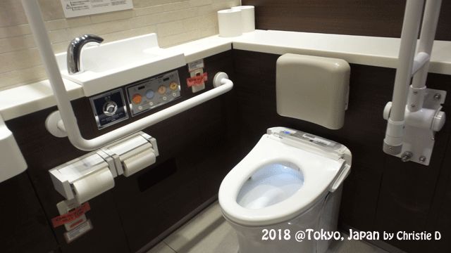 Konsep Standar Toilet Disabilitas untuk "Kaum Prioritas" | Dokumentasi pribadi