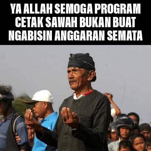 Program cetak sawah (meme olah pribadi) 