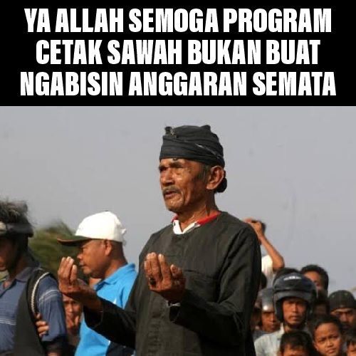 Program cetak sawah (meme olah pribadi)