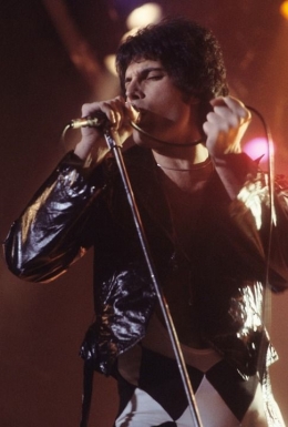 Freddie Mercury (sumber: pixbay.com)