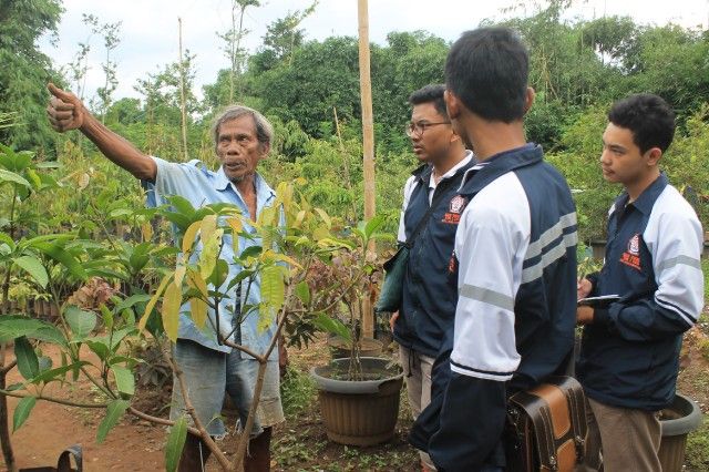 Bertanya seputar pembibitan buah. Dokpri.