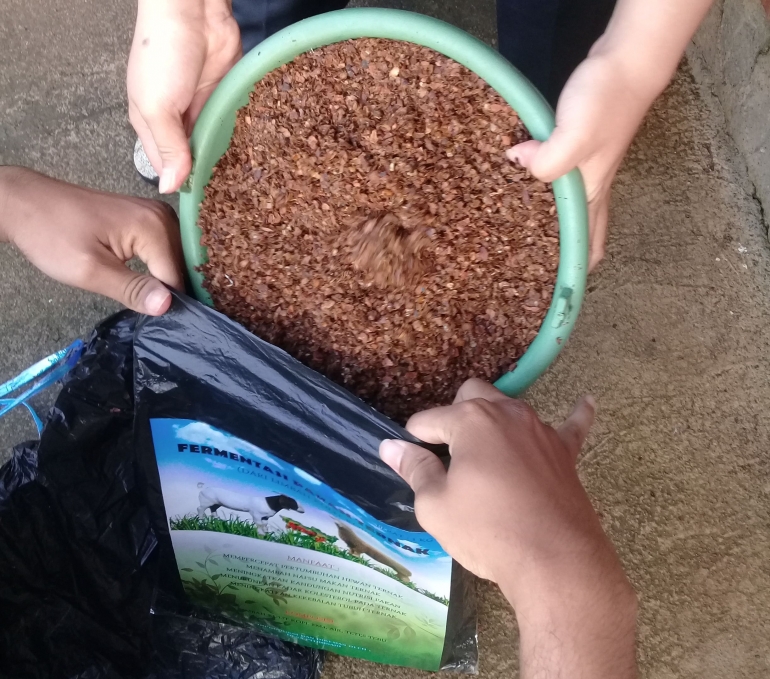 Mahasiswa Tim I KKN Undip melakukan pengemasan produk fermentasi pakan ternak dari limbah kulit kopi.dokpri