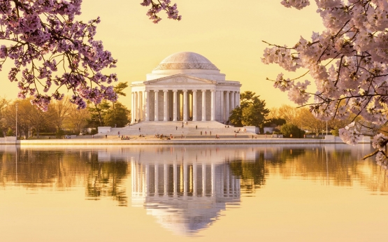 Seperti lukisan, bunga2 Sakura selalu berkembang di musim semi di Washington DC, seperti musim semi di seluruh dataran Jepang (www.washingtonplazahotel.com)