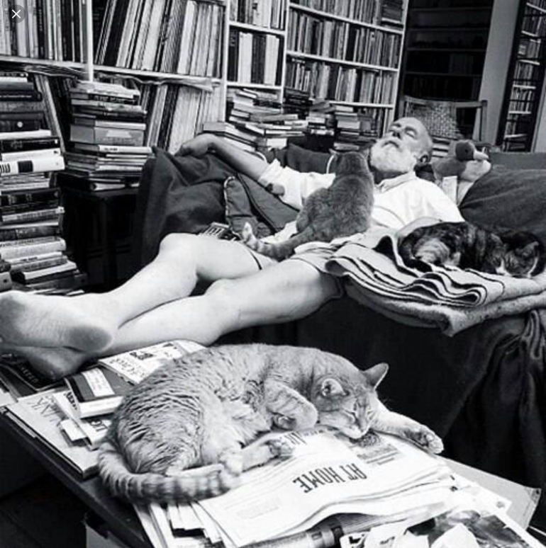 Hemmingway tertidur bersama kucingnya. Sumber website Old Pictures.