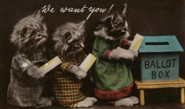 Ilustrasi. Kucing-kucing yang tengah antri di depan kotak. (cardcow.com)