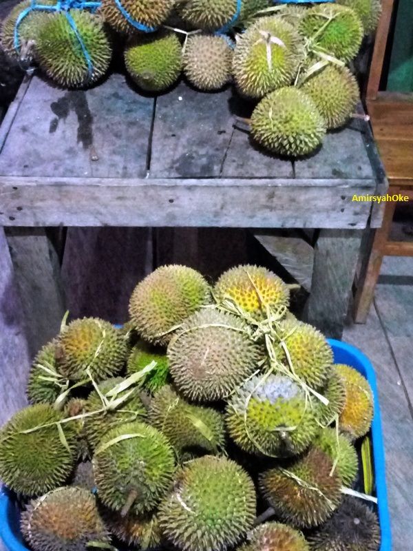 Durian yang dijual di Kota Raha Pulau Muna (Dokumentasi pribadi).