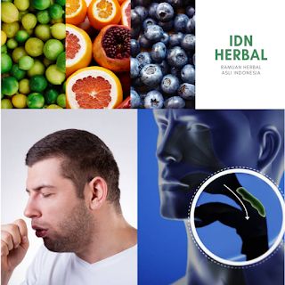 Ilustrasi batuk (idnherbal.com)