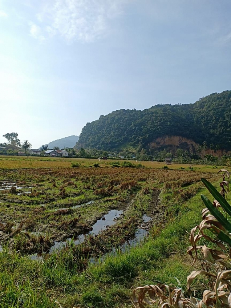 Panorama Alam Menuju Kubah Mesjid Gurah (dok pribadi)