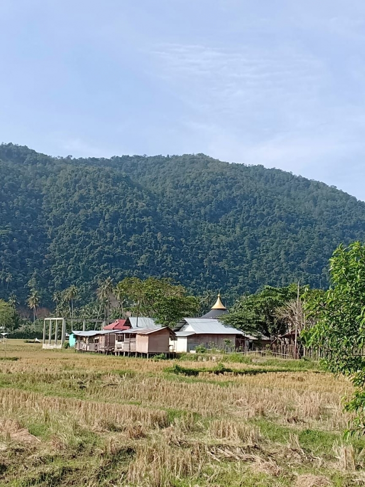 Kubah Mesjid yang ditutupi kios penjual cinderamata dari kejauhan (dok pribadi)