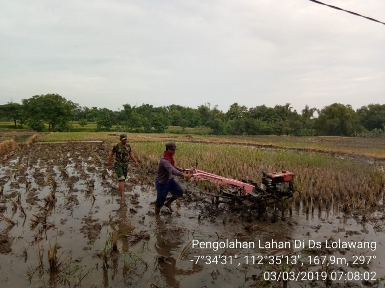 Babinsa Koramil 0815/12 Ngoro Serda Nurchaedi Dampingi Petani Pengolahan Lahan