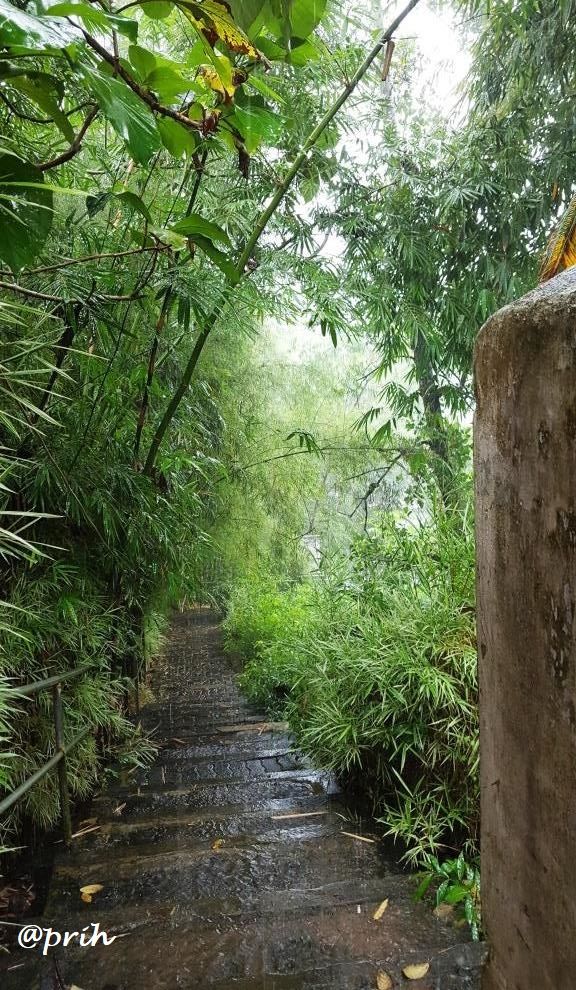 Menuju sungai, petilasan batu tempat sholat Tuanku Imam Bonjol (dok pri)