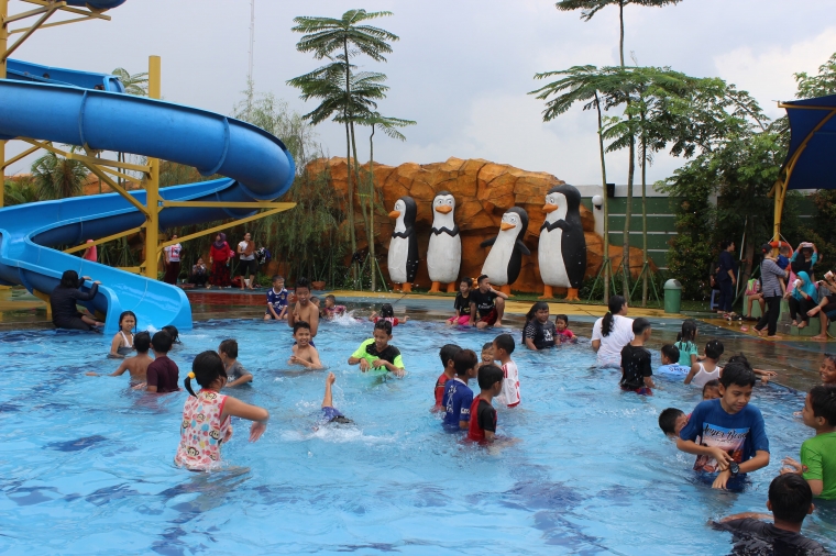 Taman Wisata Air Berkonsep Hewan Madagaskar Di Parung Panjang Kompasiana Com