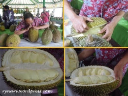 Durian lokal menggoda (dok pri)