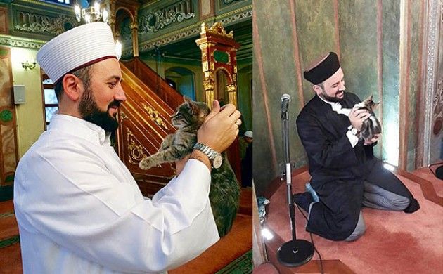 Mustafa Efe dan kucing kesayangan (Istimewa)
