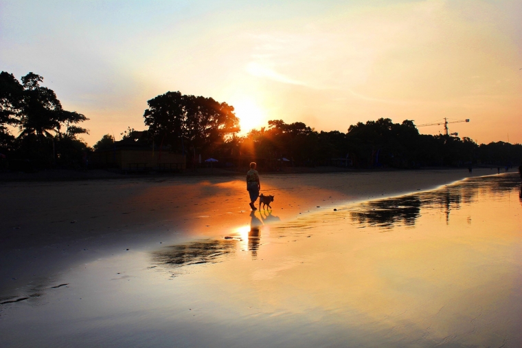 Anjing Sahabat Manusia di Pantai Seminyak Bali (Dokumentasi Pribadi)