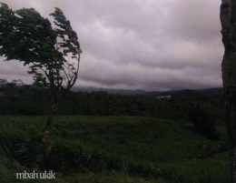 Badai saat menuju Bromo pada Kamis, 7 Maret 2019. Dokpri