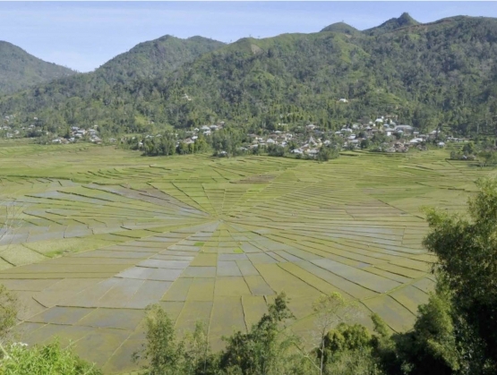 Sawah Lodo (Ebed de Rossari)