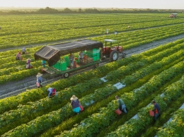 Gambar : salah satu sistem pertanian berkelanjutan /nationalgeographic.com