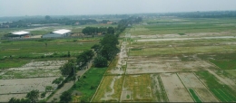 Sawah Di Kota Batang, Jawa Tengah luasnya Tergerus Kebutuhan Pabrik untuk Industri dan Terbaru Jalan Toll Trans Jawa (Gambar: Dokpri)