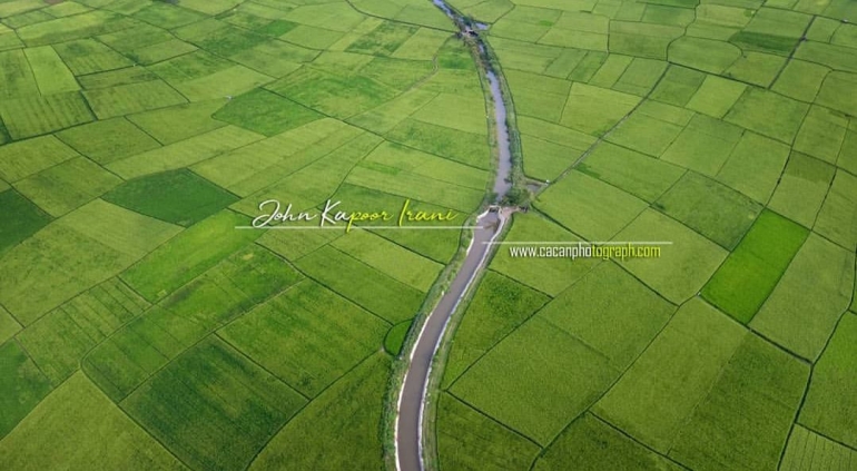Area Persawahan Gampong Gani, Aceh Besar. Foto: instagram.com/irani_john_kapoor