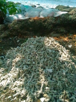 patahan terumbu karang mati di tepi pantai geopark sukabumi// foto Rudi