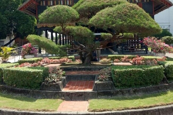 Yard of Rumoh Aceh. Picture: @debys