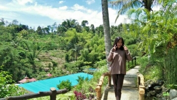 Ori Green Si Koptan Sukses Halaman All Kompasiana Com Ori Green Si Koptan Sukses Halaman All Kompasiana Com