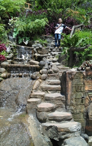 Ori Green Si Koptan Sukses Halaman All Kompasiana Com Ori Green Si Koptan Sukses Halaman All Kompasiana Com