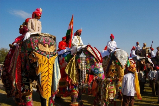 elephant-festival-jaipur-e1407775977180-5c9a1fb7cc5283264e2d97c2.jpg
