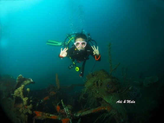 B-24 wreck, foto by Adi from abcdivers