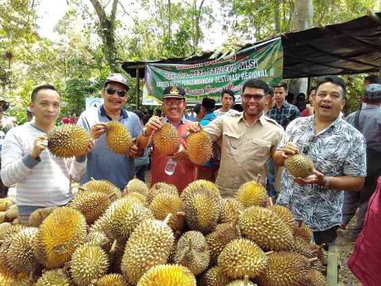 Gambar 2, Durian-durian lokal pilihan disajikan untuk pengunjung festival (Doc. FMT)