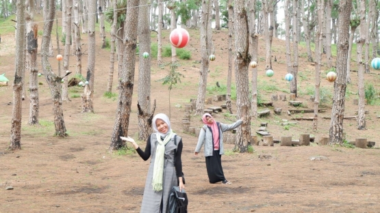 Salah satu spot selfie di Hutan Pinus Rombeng