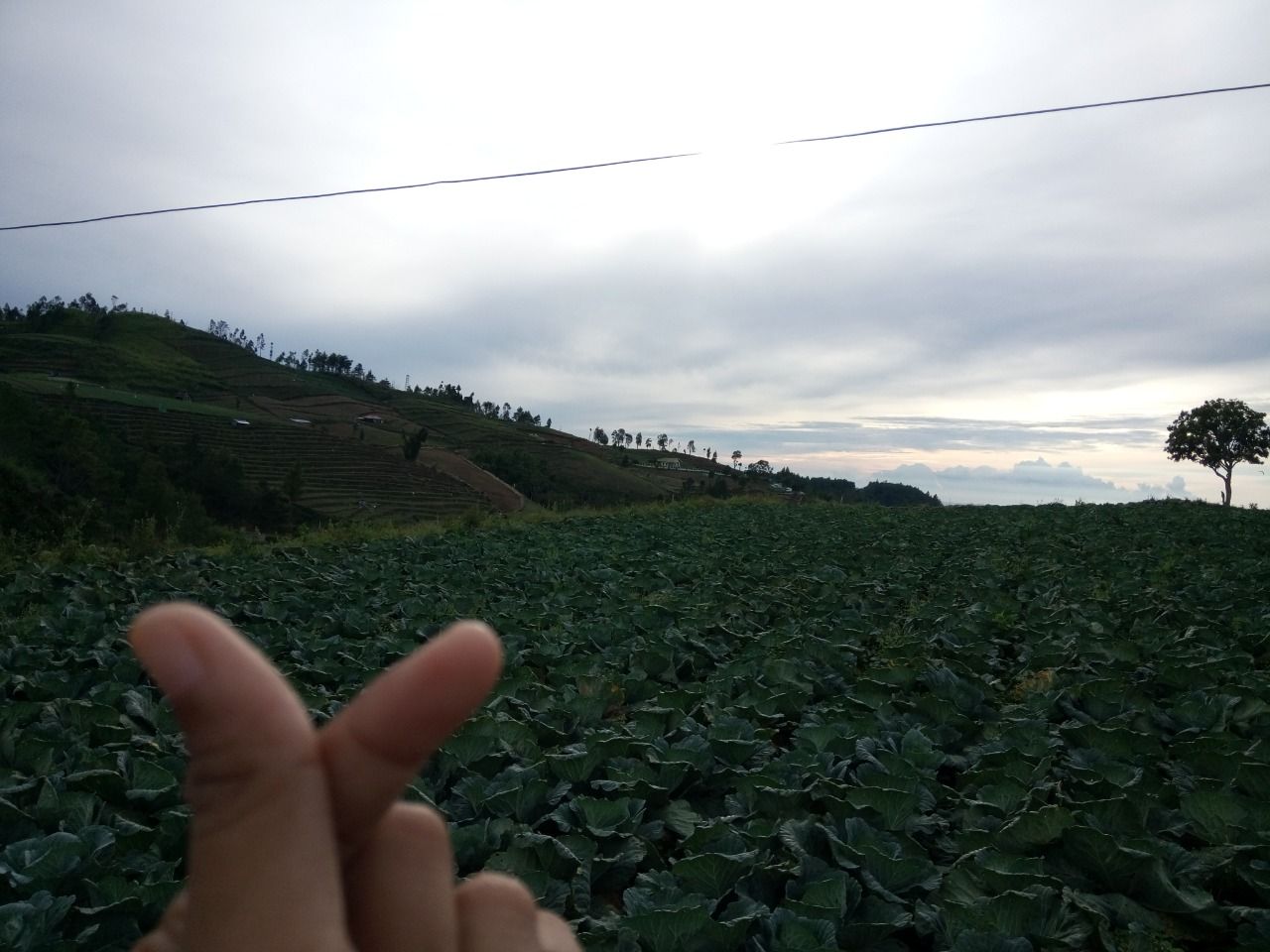 Dok.pri @Muntea Highland