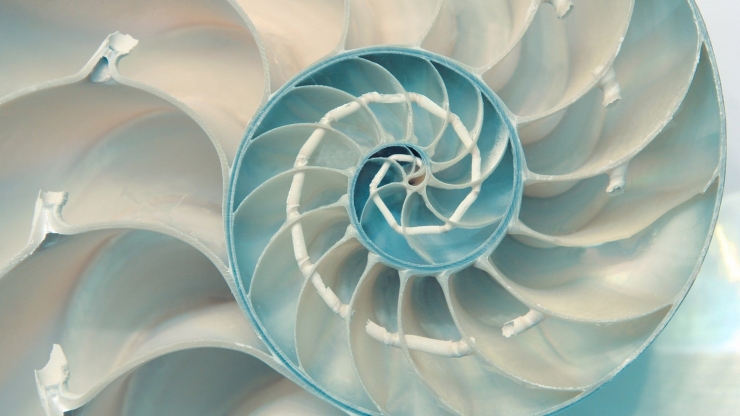 Ilustrasi tentang existance (Fibonacci dari Microsoft.com)