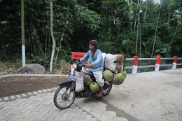 Jumali pedagang kelapa saat melintasi jalan paving di Dusun Krajan Desa Gunungmalang Kecamatan Sumberjambe Kabupaten Jember