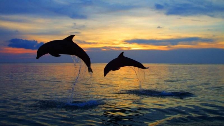 sumber : wisatabaliku.com