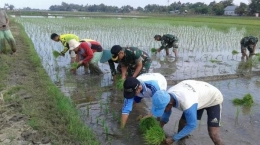 TNI dan Petani (Foto: TRIBUN TIMUR/ANSAR) 