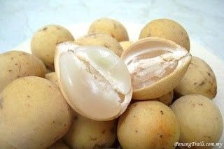 penangtrails.com
