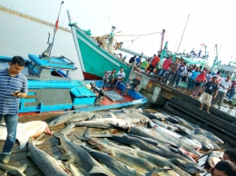 Suasana di Pangkalan Pendaratan Ikan (PPI) Pasiran, Pulau Sabang, Aceh pada Minggu (01/05/2016). Ikan hiu menjadi salah satu tangkapan nelayan Sabang. Foto : M Ambari/Mongabay Indonesia