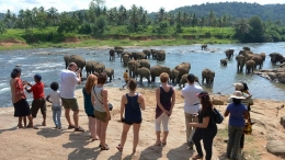Turis menyaksikan gajah di sungai di Pinnawela, timur laut Colombo, Sri Lanka (Sumber: thenational.ae/Lakruwan Wanniarachchi/AFP)
