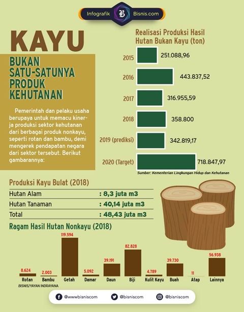 Produk Hutan Selain kayu|infografik.bisnis.com