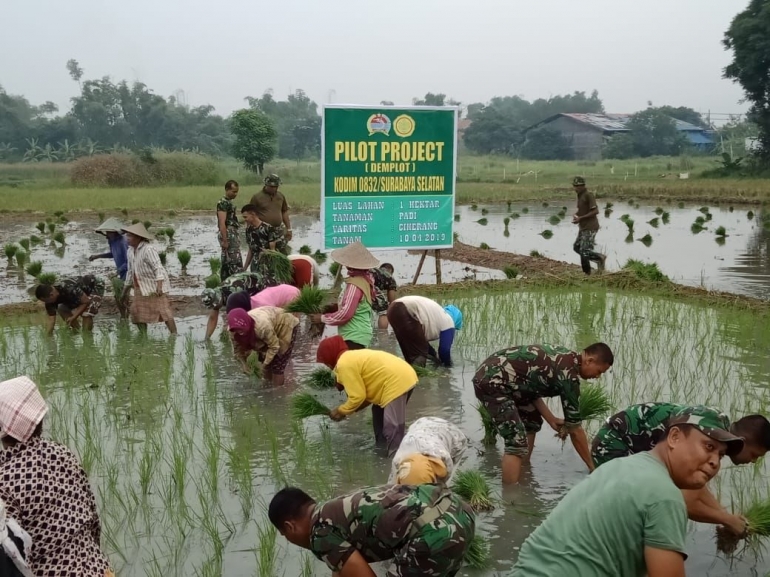 1 Ha Lahan Sumur Welut Jadi Pilot Project Program Hanpangan Kodim Surabaya Selatan/Dokpri