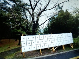 Pemasangan poster seukuran A4 yang disatukan untuk semua calon di satu tempat pada pemilu di Tokyo (dokpri)