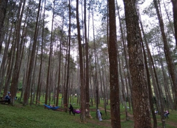 Wisata Batu Kuda Yang Sejuk Dan Memukau Halaman All Wisata Batu Kuda Yang Sejuk Dan Memukau Halaman All