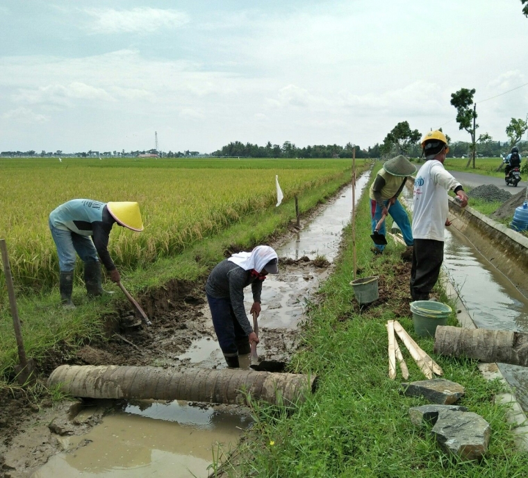 Manfaat Jembatan untuk Pertanian Kompasiana com Manfaat Jembatan untuk Pertanian Kompasiana com
