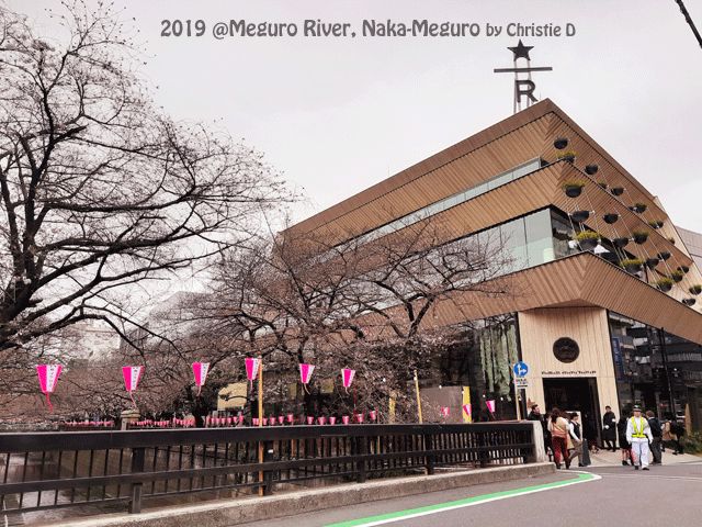 Di sebelah kanan di foto atas beratap coklat adalah Starbuck, dan Meguro River berada di sisinya. (dokumentasi pribadi)