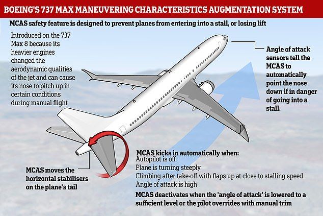 Sumber: dailymail.co.uk